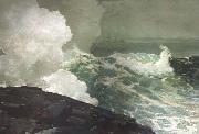 Winslow Homer Northeaster (mk44) oil on canvas